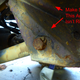 Image for article titled Here's How You Can Make Sure Your Car Is Safe To Drive
